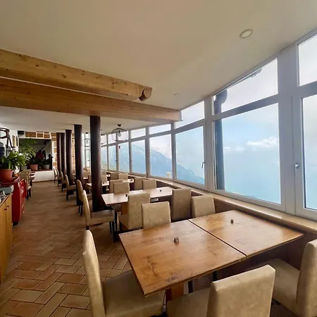 Dei Forti 2* 말세진느